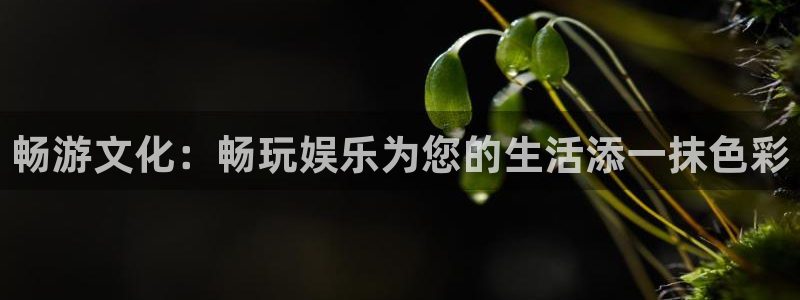 意昂3登陆