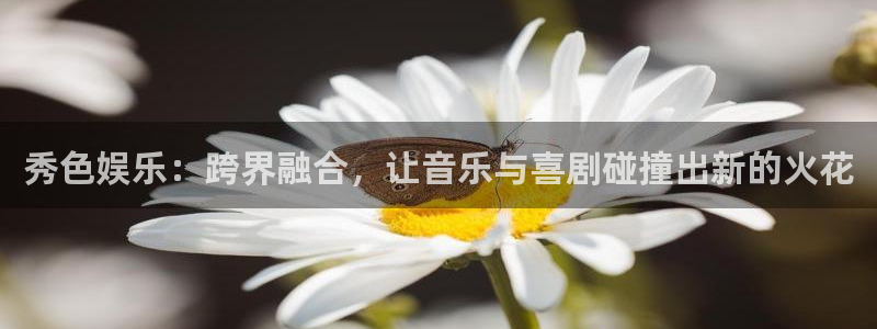 意昂2体育