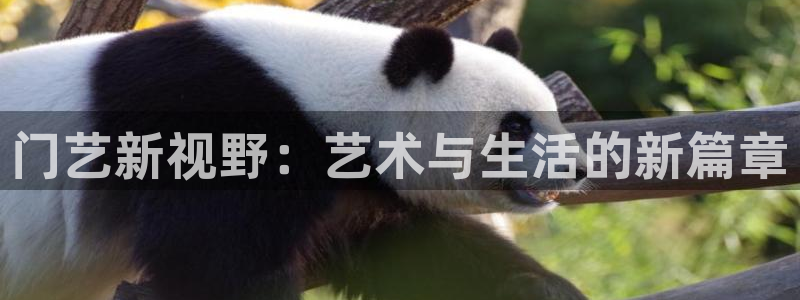 意昂2体育