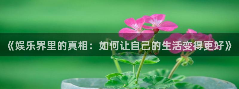 意昂3官网登录