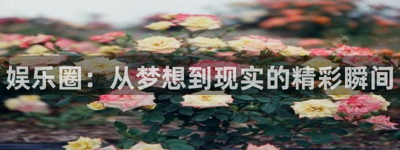 意昂4官网