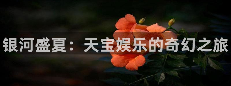 意昂3平台登录注册